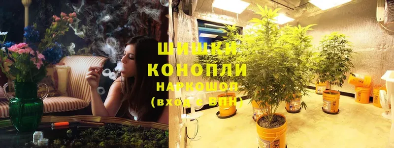 Каннабис SATIVA & INDICA  Железноводск 